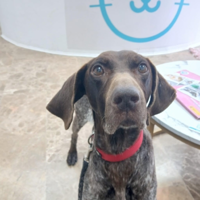 PHOTO-2026-02-17-09-14-40 5