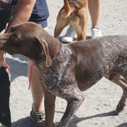 PHOTO-2026-02-18-13-40-38