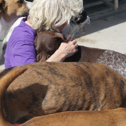 PHOTO-2026-02-18-13-40-39 2