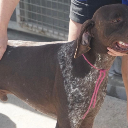 PHOTO-2026-02-18-13-40-39 3