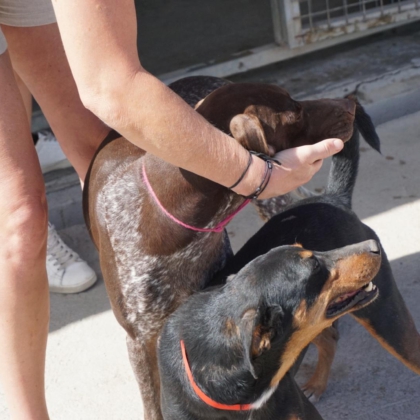 PHOTO-2026-02-18-13-40-39 4