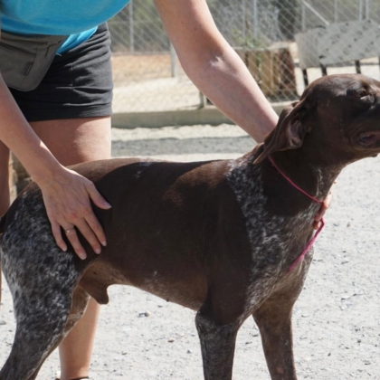 PHOTO-2026-02-18-13-40-40 2