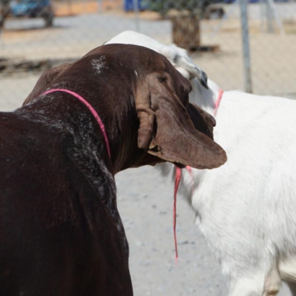 PHOTO-2026-02-18-13-40-40 5