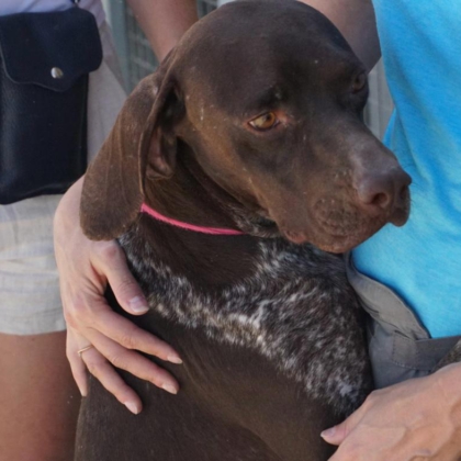 PHOTO-2026-02-18-13-40-40 6