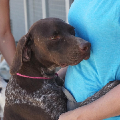 PHOTO-2026-02-18-13-40-40 7