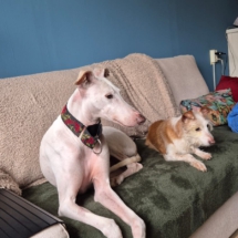 PHOTO-2026-02-22-10-26-40