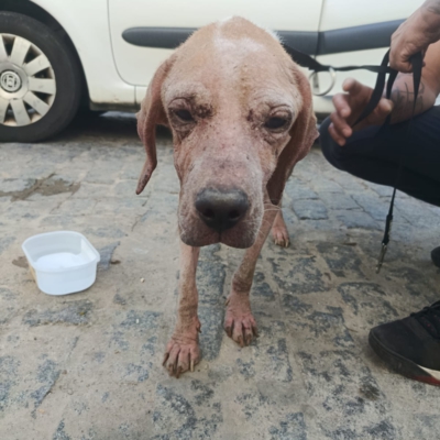 WhatsApp Image 2026-02-08 at 11.41.16 (1)