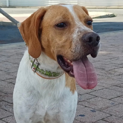 WhatsApp Image 2026-02-08 at 11.44.03