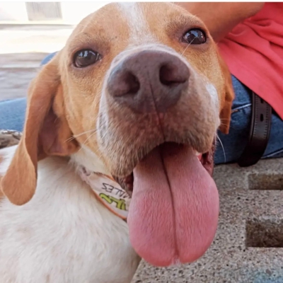 WhatsApp Image 2026-02-08 at 11.44.04 (1)