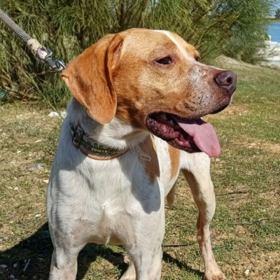 WhatsApp Image 2026-02-08 at 11.44.04 (2)