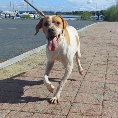 WhatsApp Image 2026-02-08 at 11.44.04 (3)