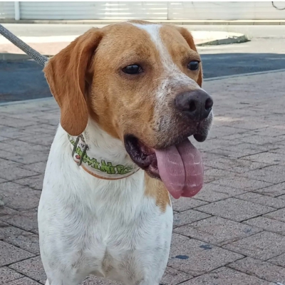 WhatsApp Image 2026-02-08 at 11.44.04 (4)