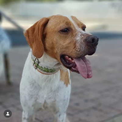 WhatsApp Image 2026-02-08 at 11.44.04 (5)