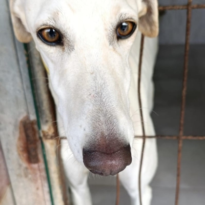 WhatsApp Image 2026-02-08 at 11.51.07 (1)