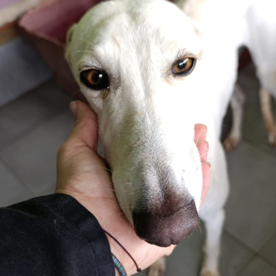 WhatsApp Image 2026-02-08 at 11.51.07 (3)