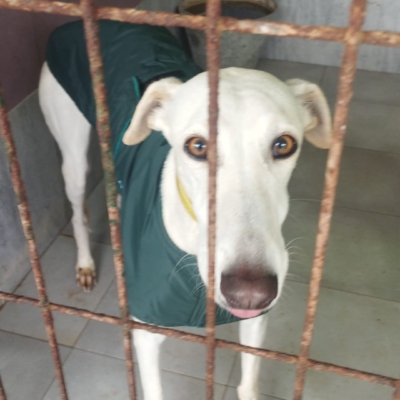 WhatsApp Image 2026-02-08 at 11.51.07 (5)