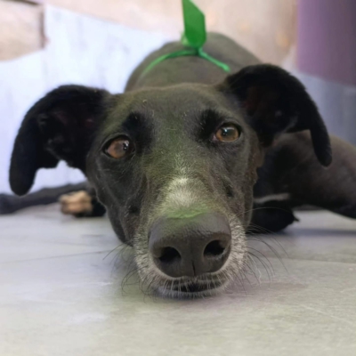 WhatsApp Image 2026-02-08 at 11.51.17