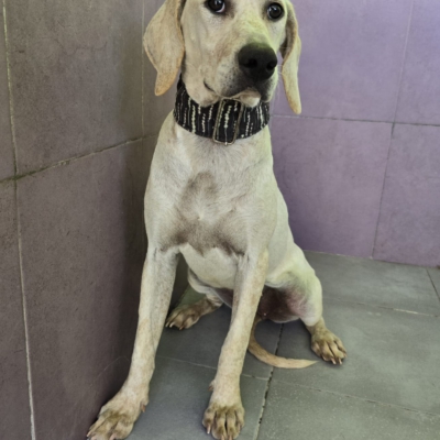 WhatsApp Image 2026-02-08 at 11.52.07 (13)