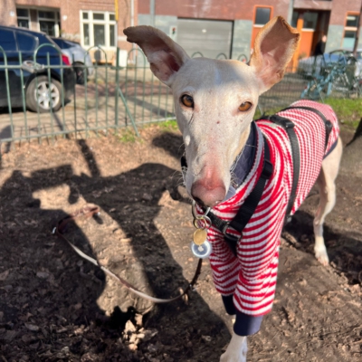 WhatsApp Image 2026-02-08 at 13.51.52 (1)