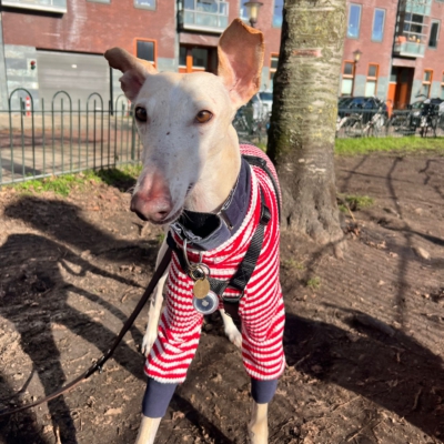 WhatsApp Image 2026-02-08 at 13.51.52 (2)