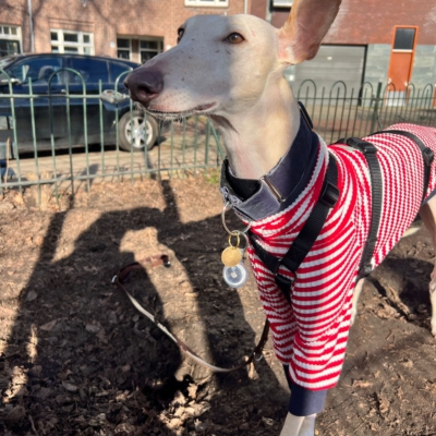 WhatsApp Image 2026-02-08 at 13.51.52 (3)