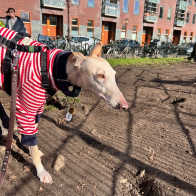 WhatsApp Image 2026-02-08 at 13.51.52 (4)