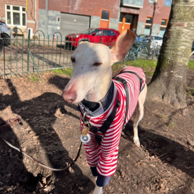 WhatsApp Image 2026-02-08 at 13.51.52 (5)