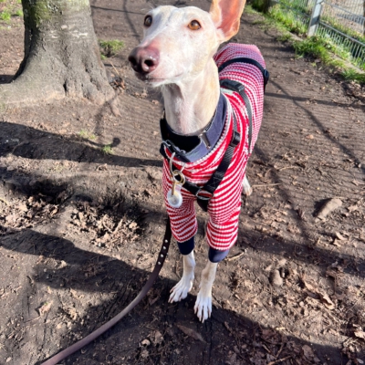 WhatsApp Image 2026-02-08 at 13.51.52 (6)