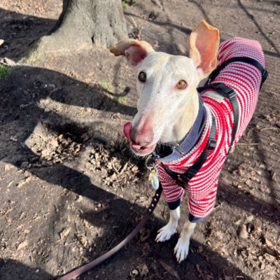 WhatsApp Image 2026-02-08 at 13.51.53 (1)