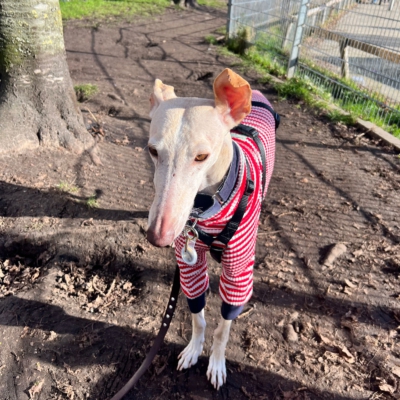 WhatsApp Image 2026-02-08 at 13.51.53 (10)