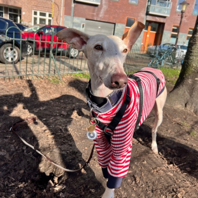 WhatsApp Image 2026-02-08 at 13.51.53 (11)