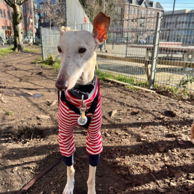 WhatsApp Image 2026-02-08 at 13.51.53 (2)