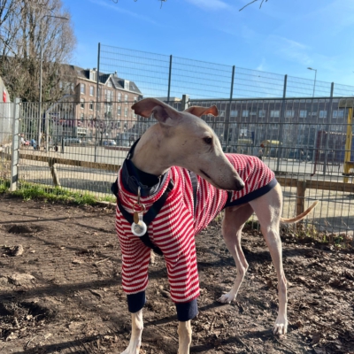 WhatsApp Image 2026-02-08 at 13.51.53 (21)