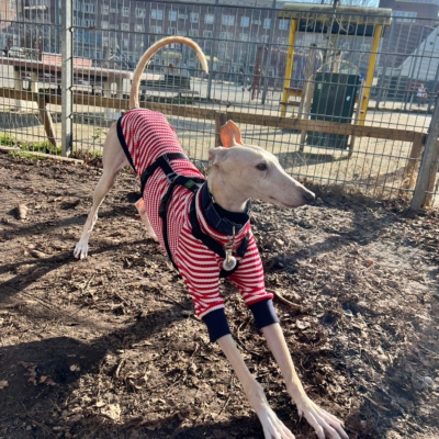 WhatsApp Image 2026-02-08 at 13.51.53 (22)