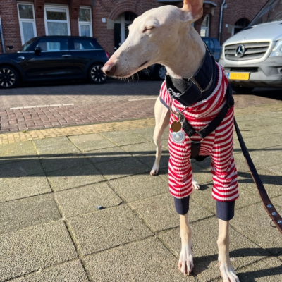 WhatsApp Image 2026-02-08 at 13.51.53 (3)