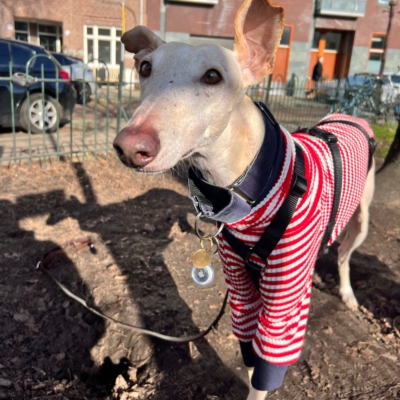 WhatsApp Image 2026-02-08 at 13.51.53 (5)