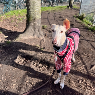 WhatsApp Image 2026-02-08 at 13.51.53 (6)