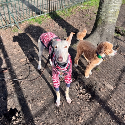 WhatsApp Image 2026-02-08 at 13.51.53 (8)