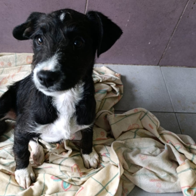 WhatsApp Image 2026-02-13 at 13.53.03 (1)