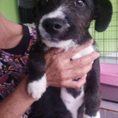 WhatsApp Image 2026-02-13 at 13.53.03 (5)