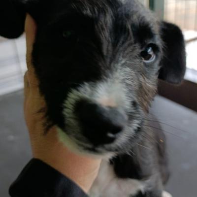 WhatsApp Image 2026-02-13 at 13.53.03 (6)