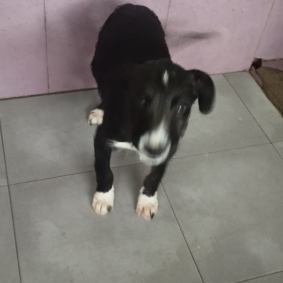 WhatsApp Image 2026-02-13 at 13.53.04