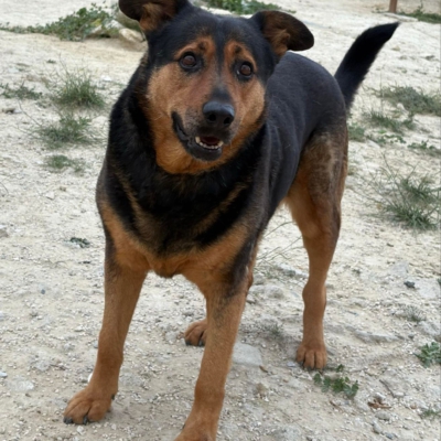 WhatsApp Image 2026-02-13 at 15.27.53-2