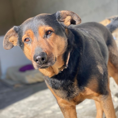 WhatsApp Image 2026-02-13 at 15.27.53-3