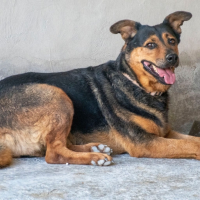 WhatsApp Image 2026-02-13 at 15.27.53-5