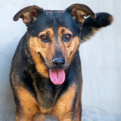 WhatsApp Image 2026-02-13 at 15.27.54-2