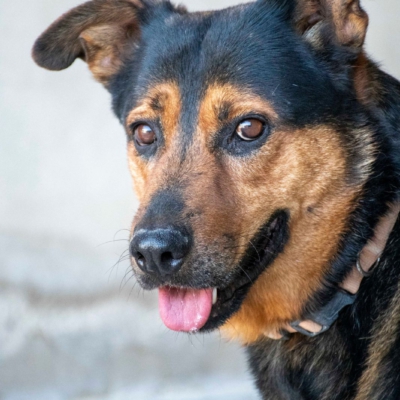 WhatsApp Image 2026-02-13 at 15.27.54