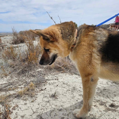 WhatsApp Image 2026-02-13 at 15.40.05 (1)