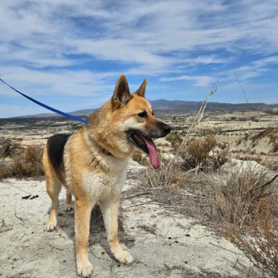 WhatsApp Image 2026-02-13 at 15.40.05 (2)