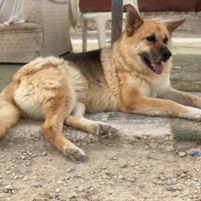 WhatsApp Image 2026-02-13 at 15.40.05